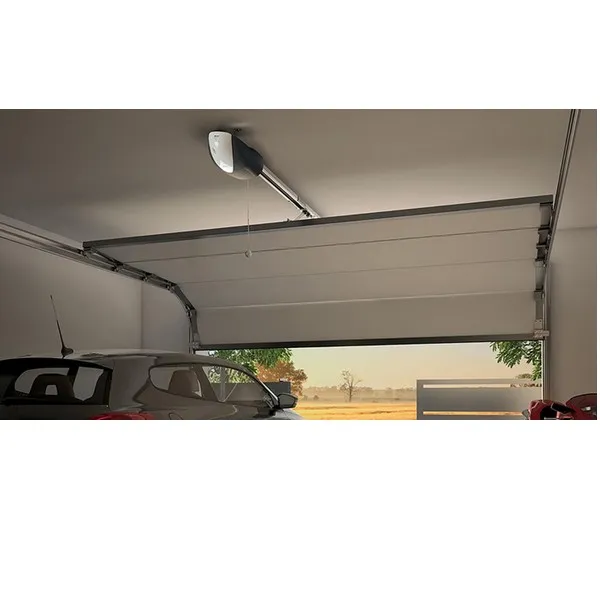 Motorisation Nice Portes de garage et portails